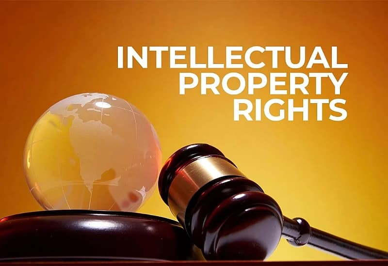 The importance of intellectual property rights